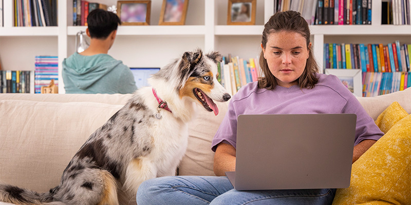 Une femme tapant sur son ordinateur portable avec son chien assis à ses côtés sur le canapé.