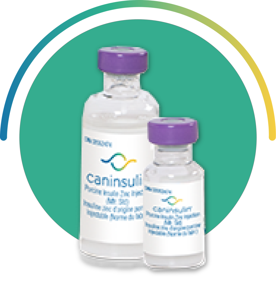 Fioles Caninsulin