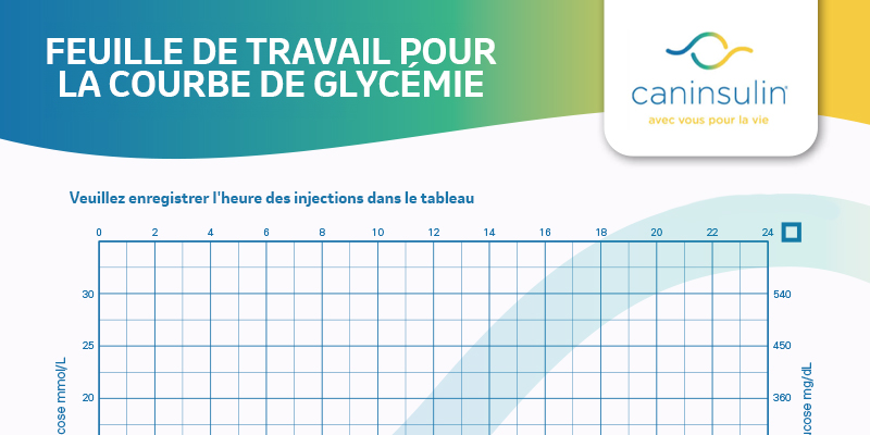 Feuille de travail pour la courbe de glycémie