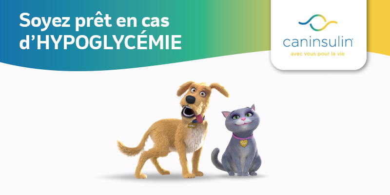 Soyez prêt en cas d’HYPOGLYCÉMIE