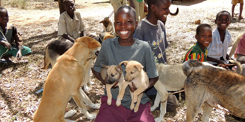 Un garçon tient deux chiots en souriant