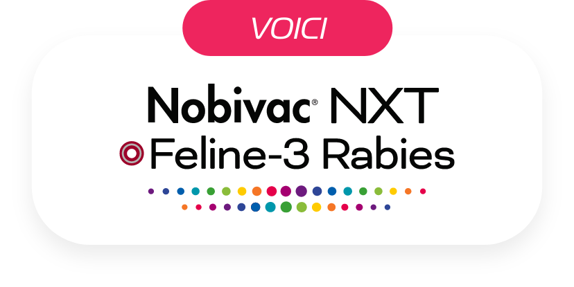 Voici Nobivac NXT Feline-3 Rabies