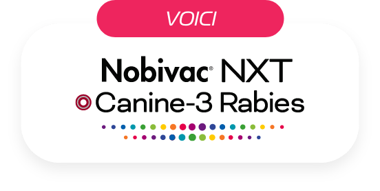 Voici Nobivac NXT Canine-3 Rabies